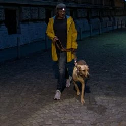 Discount 👏 Automotive Repair Flashlights LED Lenser H7R.2 Rechargeable Headlamp | Adjustable Focus ✨ -Brightguy Shop LED Lenser H7R.2 Rechargeable Headlamp 12